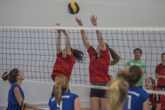 unbenannt (17 von 102)