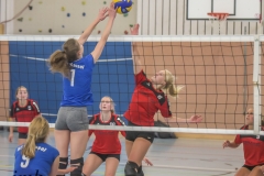 unbenannt (19 von 102)