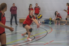 unbenannt (31 von 102)