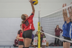 unbenannt (42 von 102)