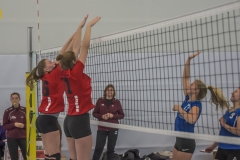 unbenannt (51 von 102)