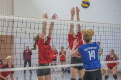 unbenannt (61 von 102)